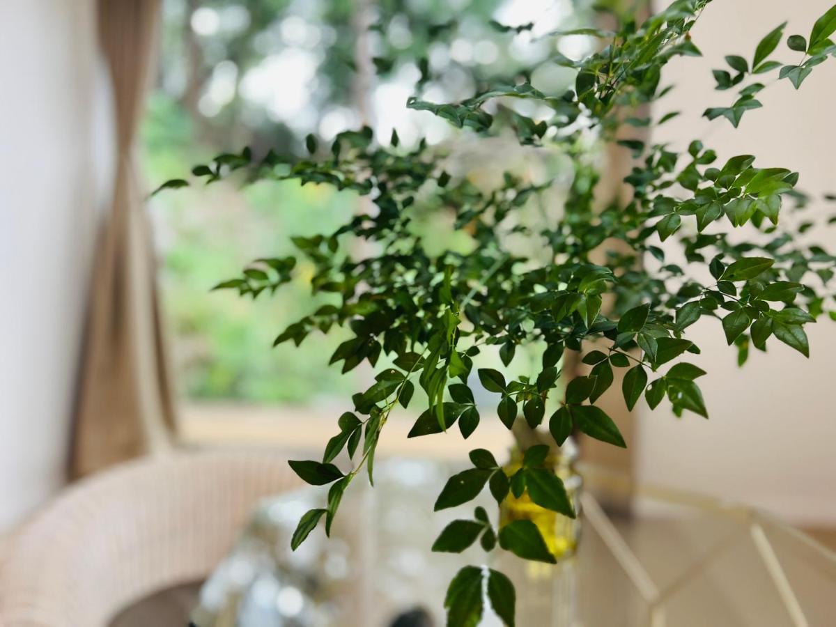 Yama'Oto - Nature Luxury Stay Motobu Eksteriør billede