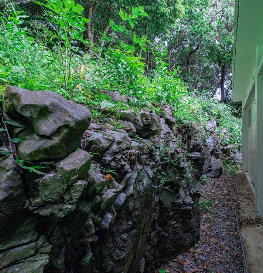 Yama'Oto - Nature Luxury Stay Motobu Eksteriør billede